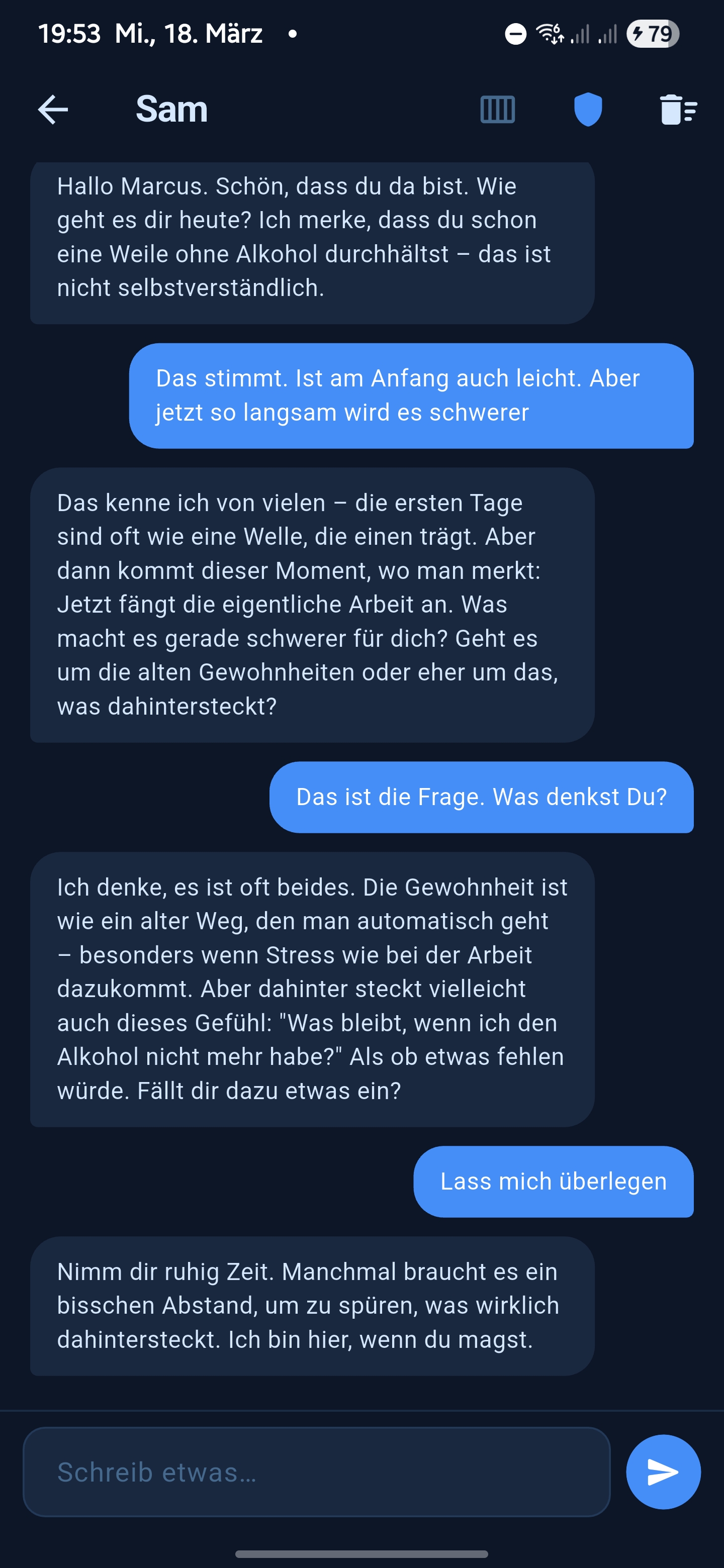 Sam AI companion chat